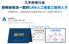 焦点是控制数据拾掇、可视化和根本阐发方